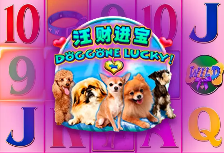 Doggone Lucky